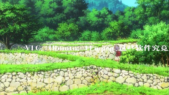 VLC，Ubuntu，FFmpeg 这些软件究竟是什么人开发的？为什么免费？他们不求回报又何以生存？