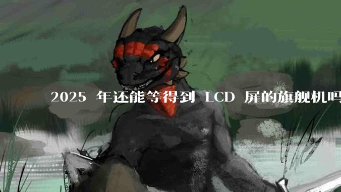 2025 年还能等得到 LCD 屏的旗舰机吗？