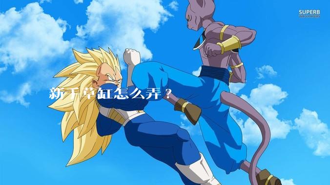 新手草缸怎么弄?