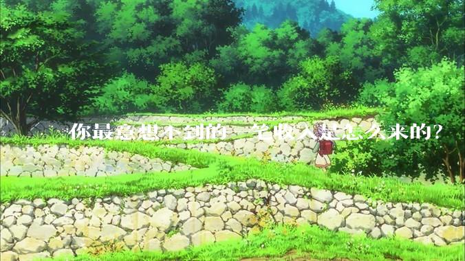 你最意想不到的一笔收入是怎么来的？