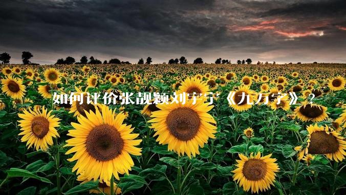 如何评价张靓颖刘宇宁《九万字》?