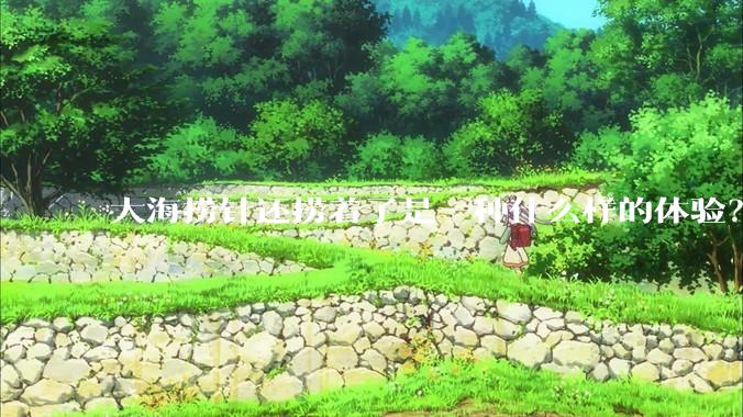 大海捞针还捞着了是一种什么样的体验？