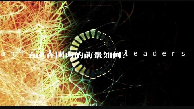 rust在国内的前景如何？