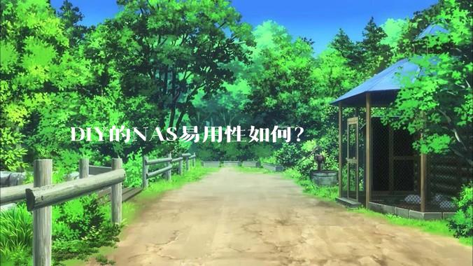 DIY的NAS易用性如何？