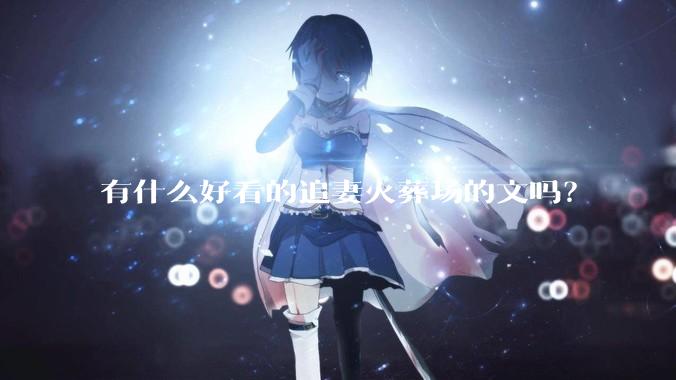 有什么好看的追妻火葬场的文吗？