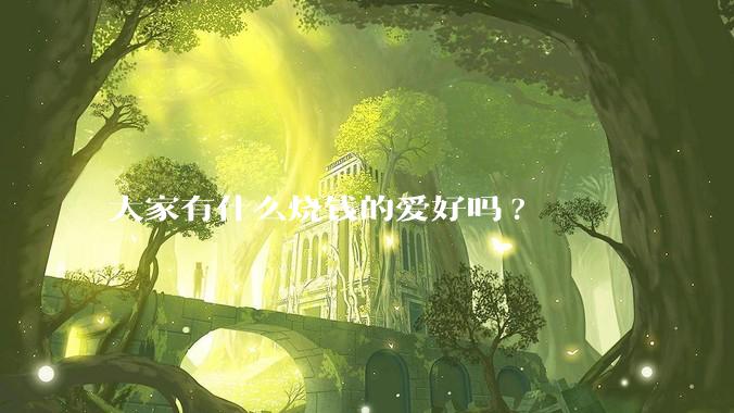 大家有什么烧钱的爱好吗?