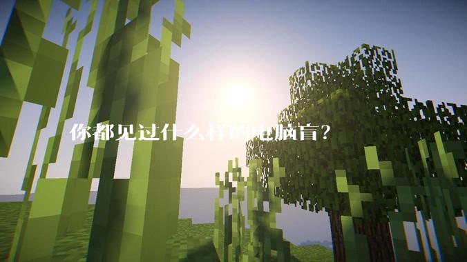 你都见过什么样的电脑盲？