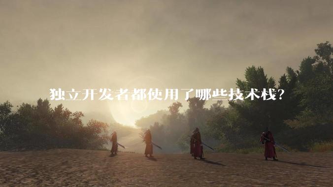 独立开发者都使用了哪些技术栈？