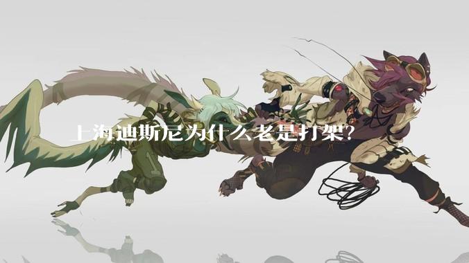 上海迪斯尼为什么老是打架？